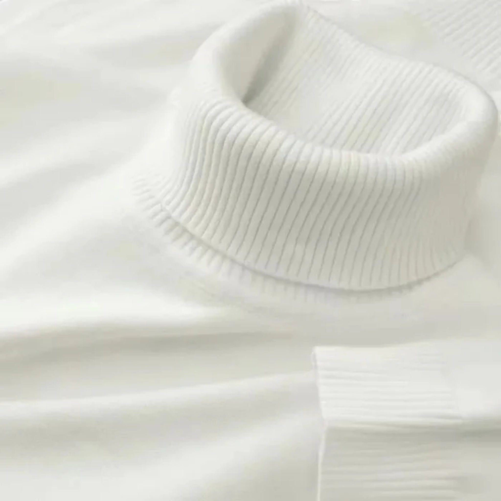 Celestiella - Men’s Ribbed Merino Roll-Neck Jumper